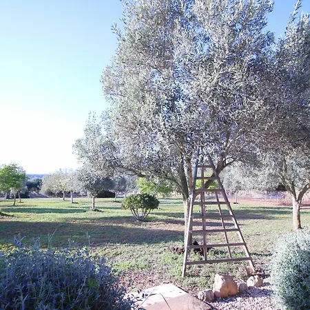 Villa Romantic Ses Mires *